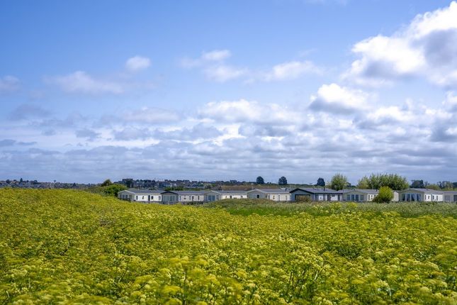 Seaview Holiday Park, St Johns Road, Whitstable photo 4