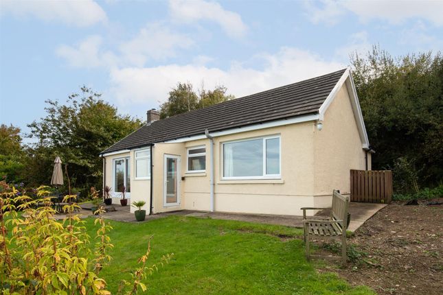Gwylan Cottage, Cardigan photo 4