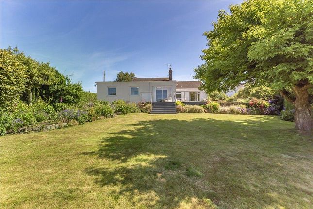 Thumbnail Detached bungalow for sale in Higher Blandford Road, Shaftesbury, Dorset