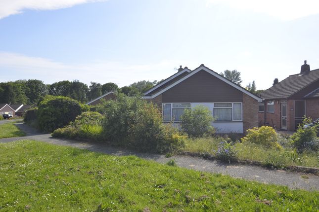 Thumbnail Detached bungalow for sale in Chatsworth Crescent, Trimley St. Mary, Felixstowe