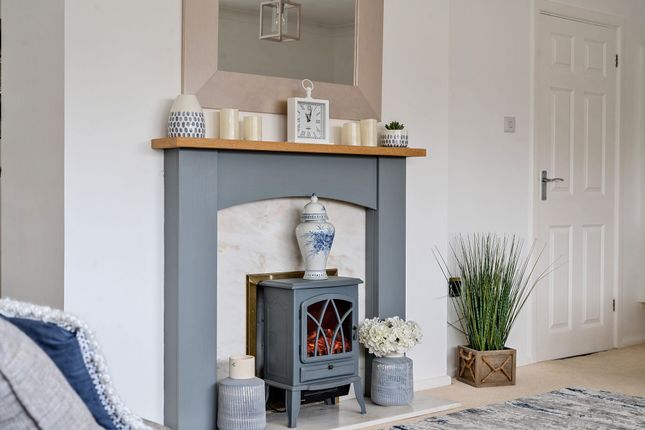 Log Burner