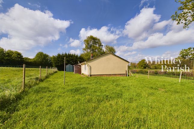 Detached bungalow to rent in Fen Street, Redgrave, Diss