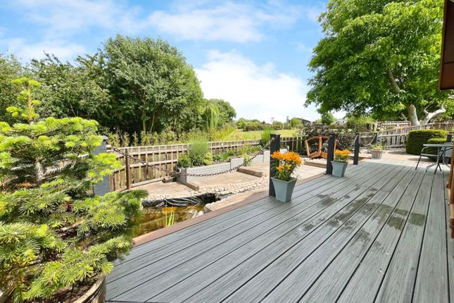 Dalton Bridge Park, Dalton, North Yorkshire photo 3
