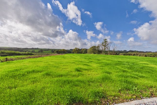 Lodgeworthy Farm, Holsworthy photo 3