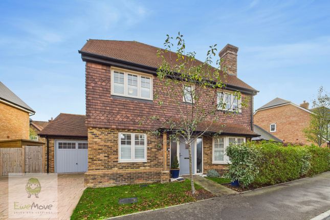 View Of The Front Of The House