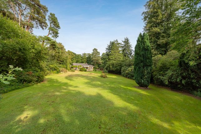 Thumbnail Property for sale in Wentworth Drive, Wentworth, Virginia Water, Surrey