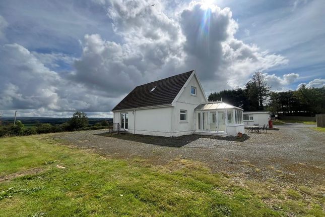 Brynhebog, Llandysul photo 4
