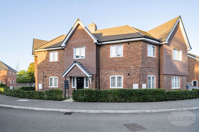 51F3Bd3E-4F49-417...