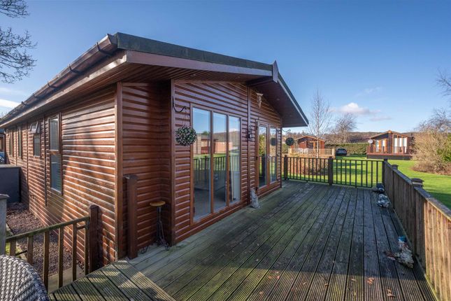 Braidhaugh Park, Lodge 13, South Bridgend, Crieff photo 4