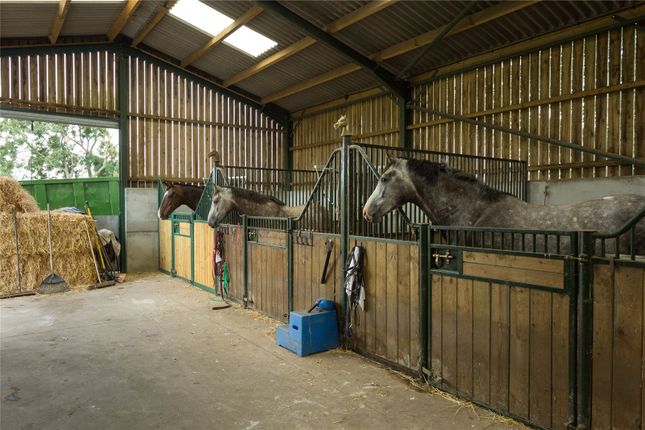 Stabling