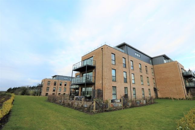 Thumbnail Penthouse to rent in Beechwood Lea, Thorntonhall