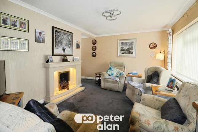 17, Western Drive, Cardiff photo 2