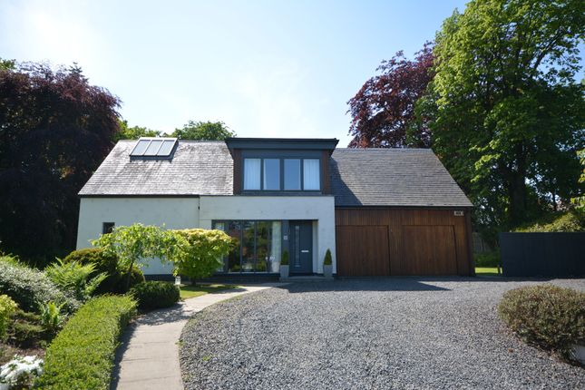 Thumbnail Detached house for sale in Carronvale Road, Larbert, Stirlingshire