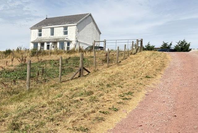 Nantygoetre Isaf, Ferryside, Carmarthen photo 3