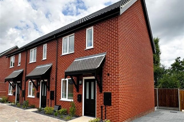 Thumbnail Semi-detached house to rent in Burnham Road, Norwich