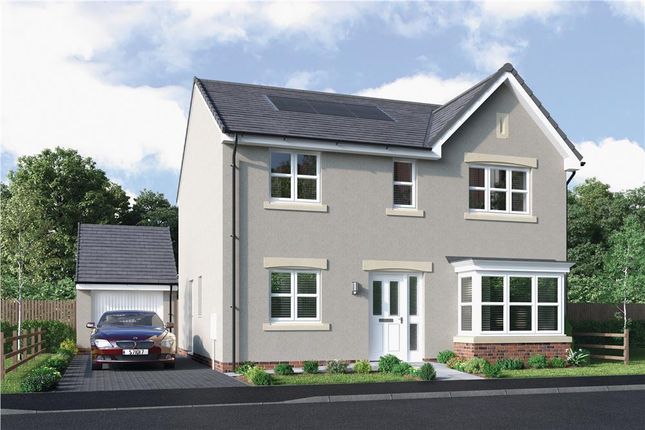 Thumbnail Detached house for sale in "Langwood" at Main Road, Maddiston, Falkirk