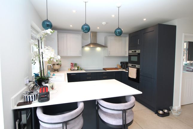 Kitchen View 2