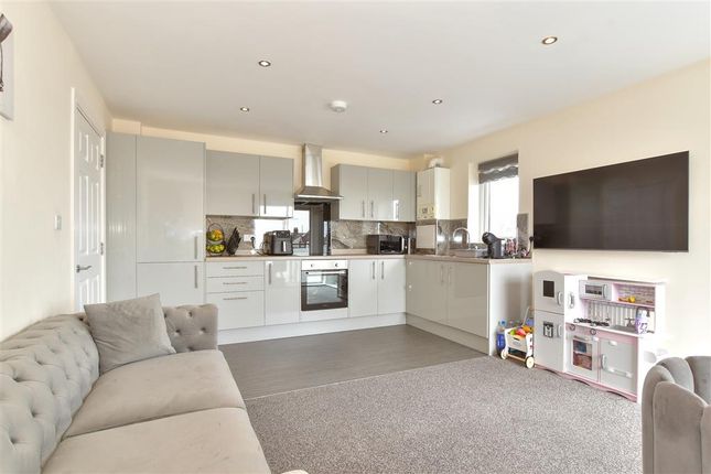 Kitchen/ Living Area