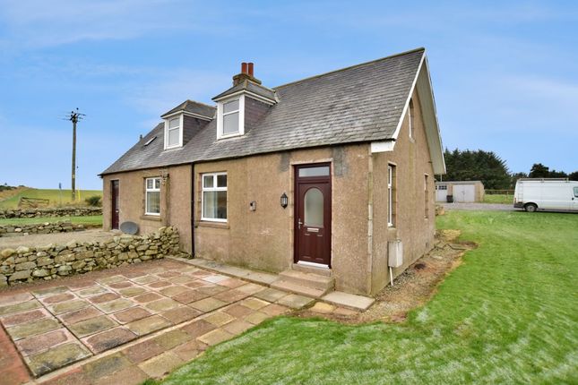 Thumbnail Cottage to rent in Cultercullen Cottages, Udny, Aberdeenshire