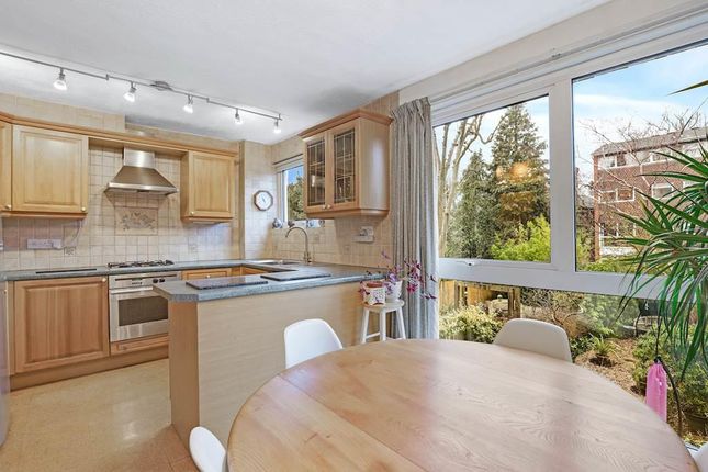32, Hall Drive, Sydenham photo 2