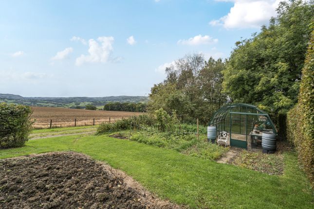 1361387-7-68Dd48B...