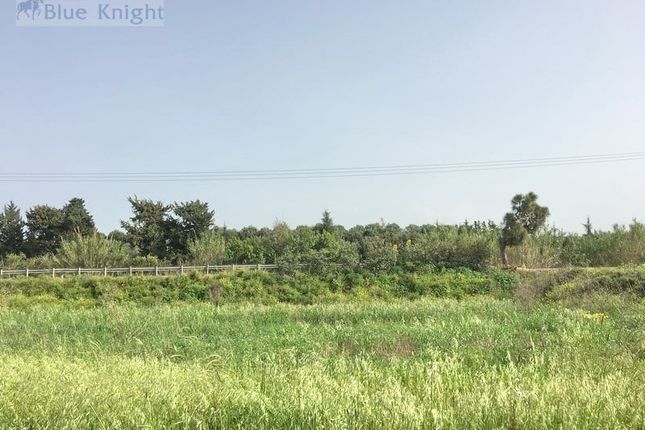 Land for sale in Poli Crysochous, Cyprus