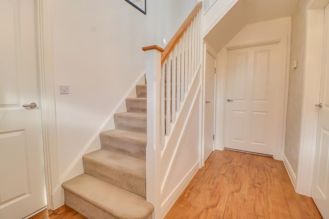 27, Shetland Crescent, Rochford photo 2