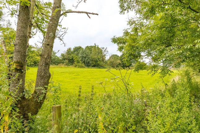 Thumbnail Land for sale in Land Off Burton Royd Road, Kirkburton, Huddersfield