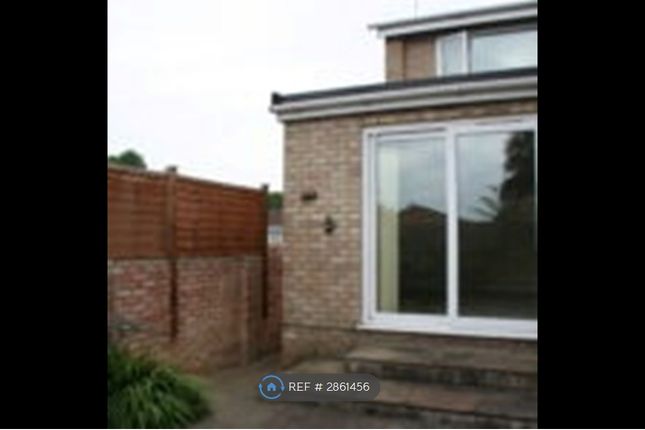 Harlech Avenue A, Caversham, Reading photo 2