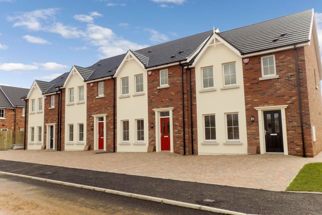 Thumbnail Town house to rent in Ayrshire Lodge, Lisburn