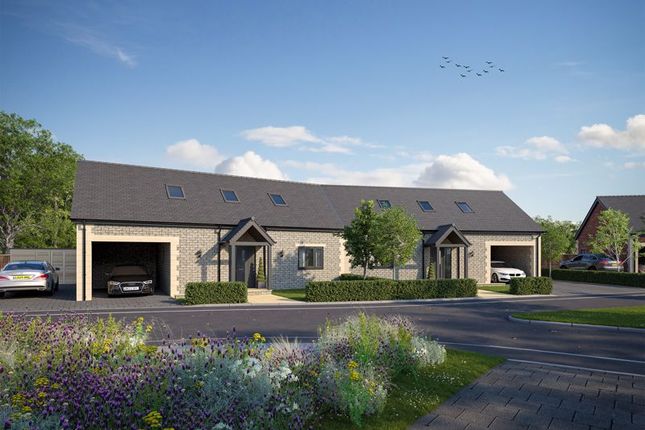 15 Blackberry Court, School Street, Drayton photo 3