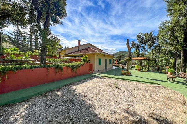 Detached house for sale in Via Del Castello, Castagneto Carducci, Livorno, Tuscany, Italy