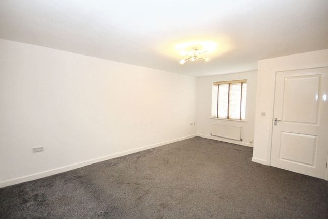 50 Ledgard Avenue, Leigh photo 5