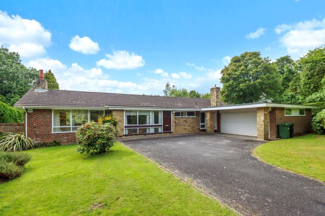Thumbnail Detached bungalow for sale in Forewood Lane, Crowhurst