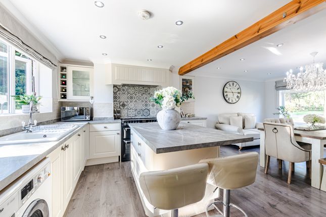 Kitchen5