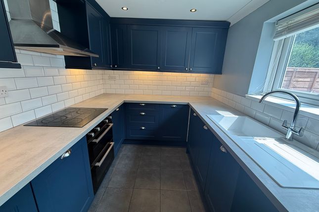 16, Swansea photo 2