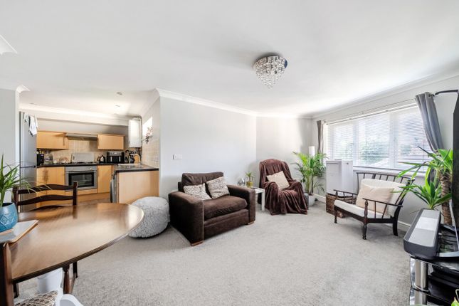 20A, Newtown, Fareham photo 2