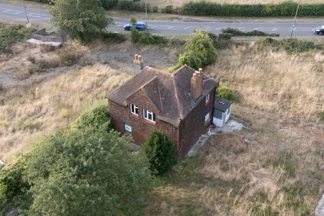 sunray farm, carshalton photo 4