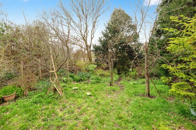 Land for sale in South Street, South Chailey, Lewes