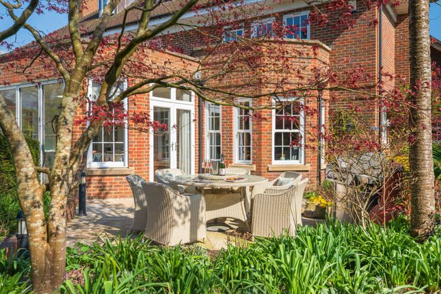 Sunny Patio Shot Back Of House