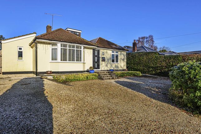 Thumbnail Detached bungalow for sale in Lightwater, Surrey