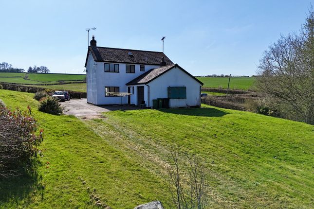 Pontycaith, Usk photo 3