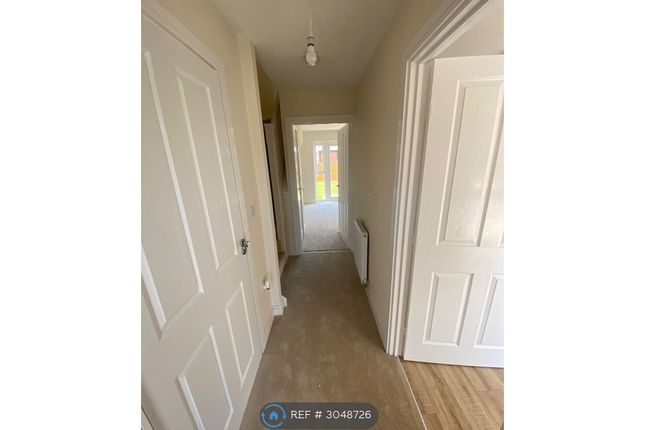 Robertson Drive, Newcastle-Under-Lyme photo 3