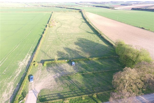 Thumbnail Land for sale in Brinkley Road, Newmarket, Cambridgeshire