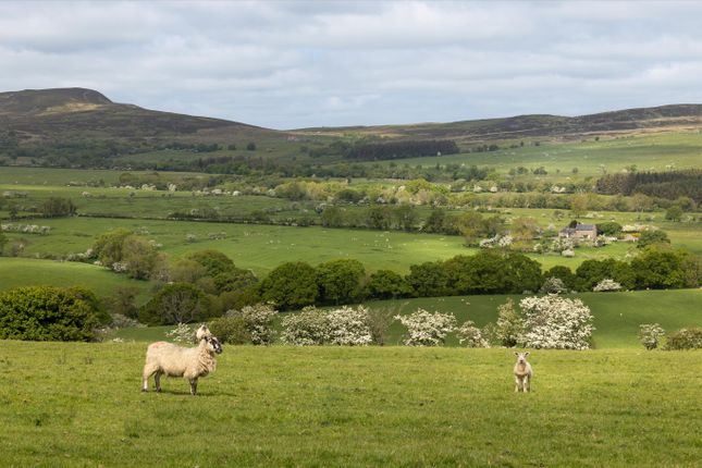 Farm for sale in The Rothbury Estate, Northumberland