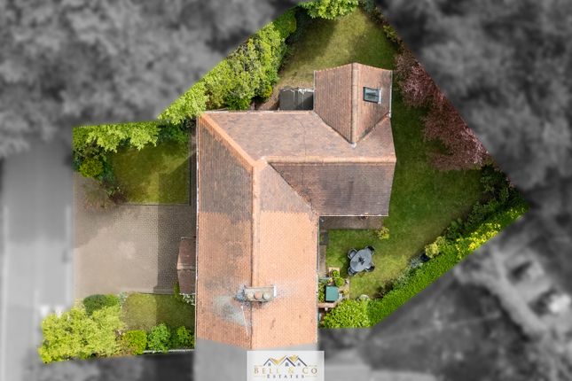 Aerial 1