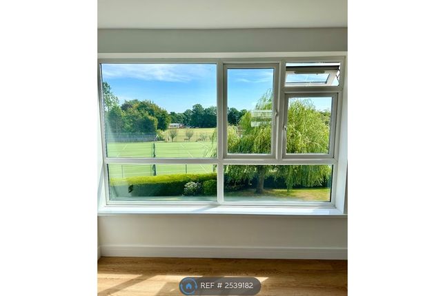 Lounge Window 1