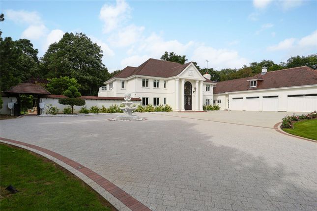 Front Aspect