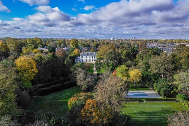 Detached house to rent in Cambridge Park, Twickenham
