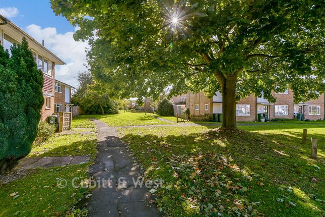 30, Petridge Road, Redhill photo 2